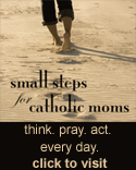 Small Steps for Catholic Moms